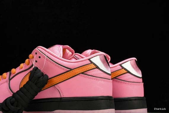 Powerpuff Girls  Nk x Dunk The Low FZ8319-600 SB 1110